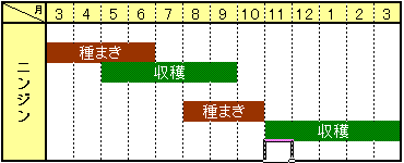 オーガニック家庭菜園生活におすすめ 有機種子 ニンジン 0 25ｍｌ 約0粒 Natural Life Station