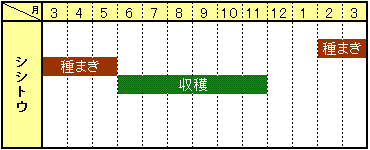 シシトウ栽培カレンダー