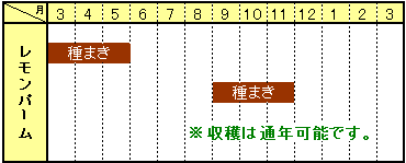 レモンバーム　カレンダー