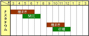 ナスタチウム栽培カレンダー