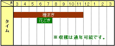 タイム栽培カレンダー