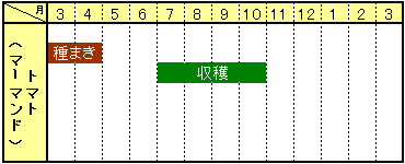 トマト(マーマンド)栽培カレンダー